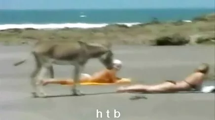 Alpha Lớn kinh Nghiệm-Một bộ sưu tập của phù dâu, sex hàn quốc tự sướng Phần IV