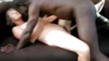 thô-12621 sex thú hàn quốc