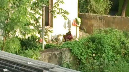 Phô phụ xe đạp của cô ở nông thôn sex hàn mới