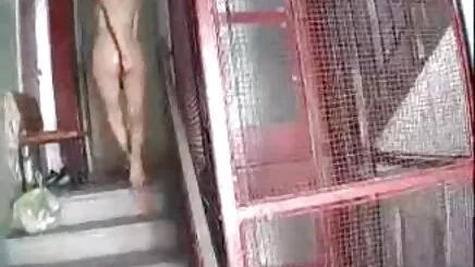 dễ thương alibri tóc đỏ phin xex han quoc 2